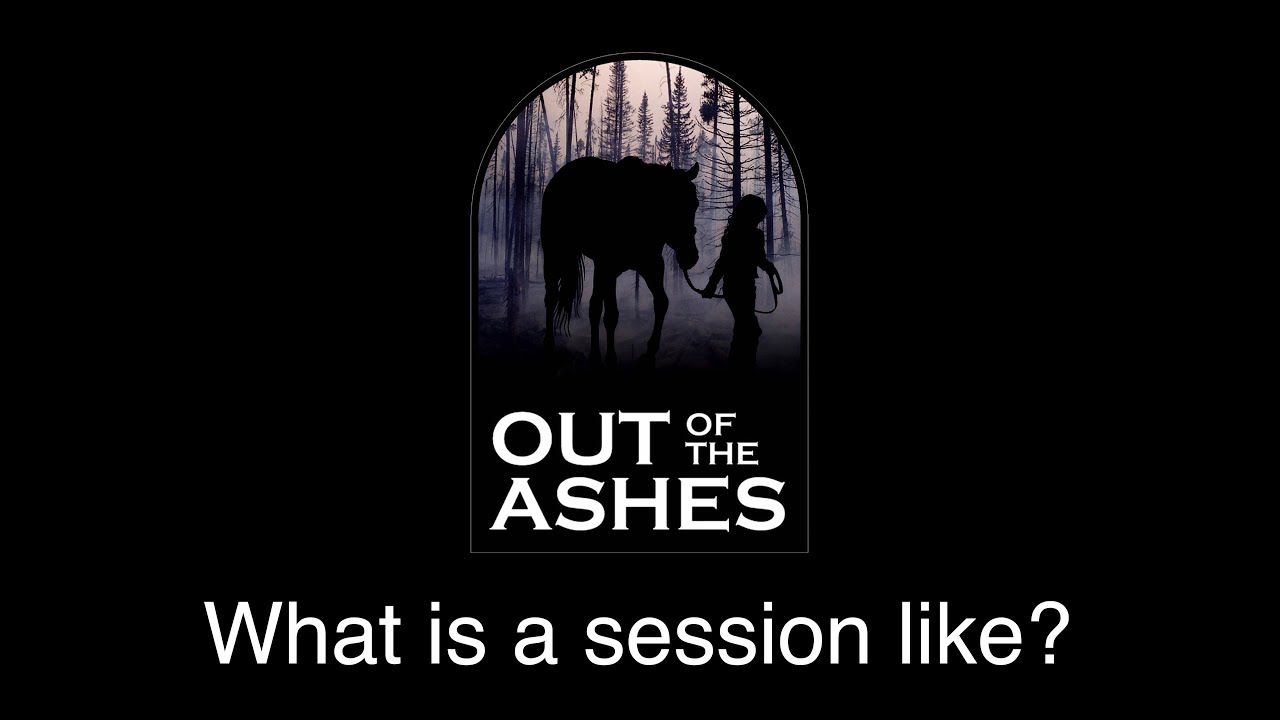 Out of the Ashes: What is a session like?