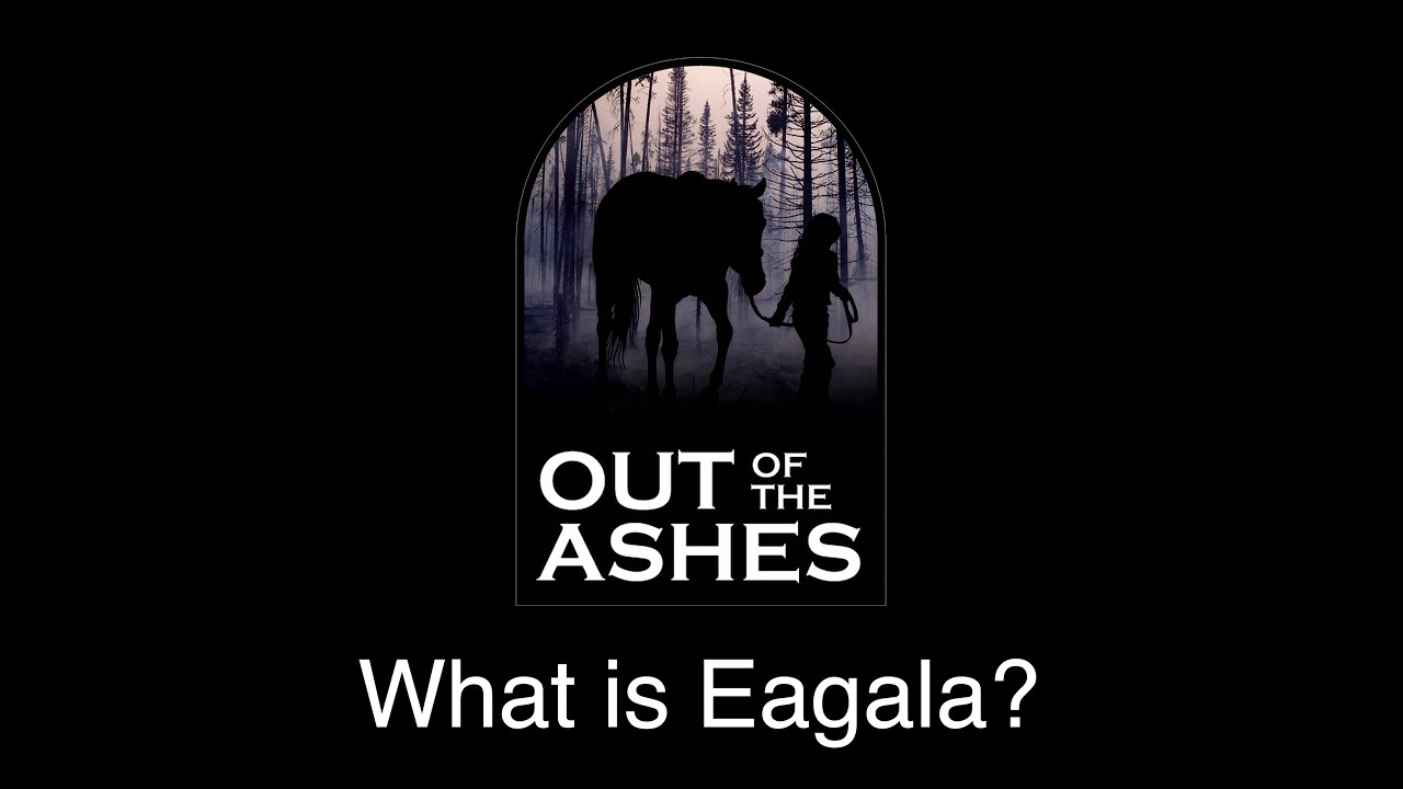 Out of the Ashes: What is Eagala?